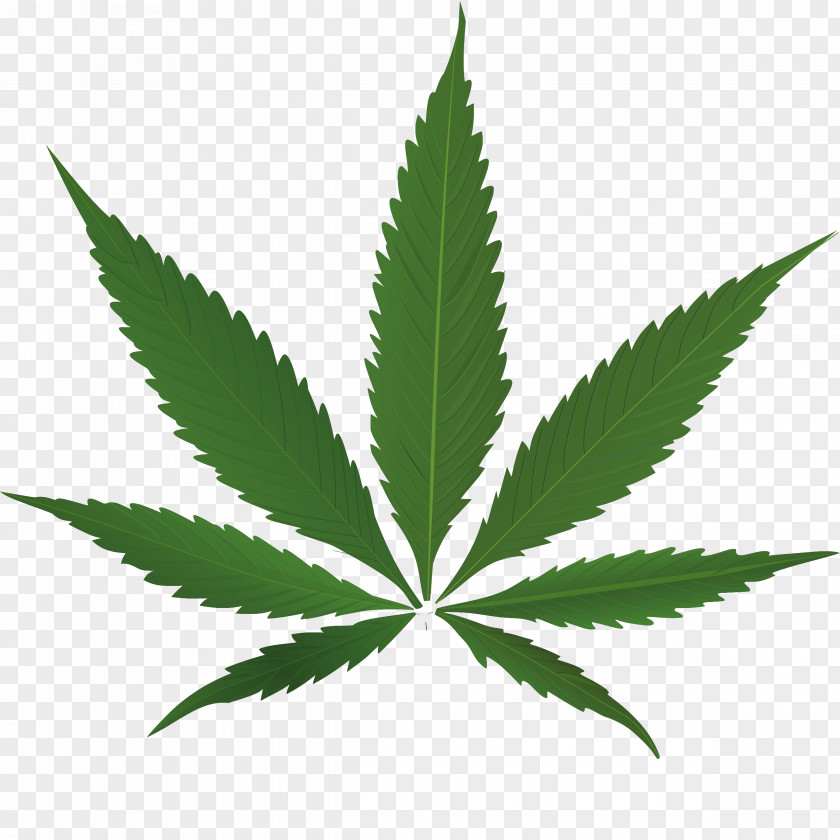 Illegal Drugs Medical Cannabis Clip Art PNG