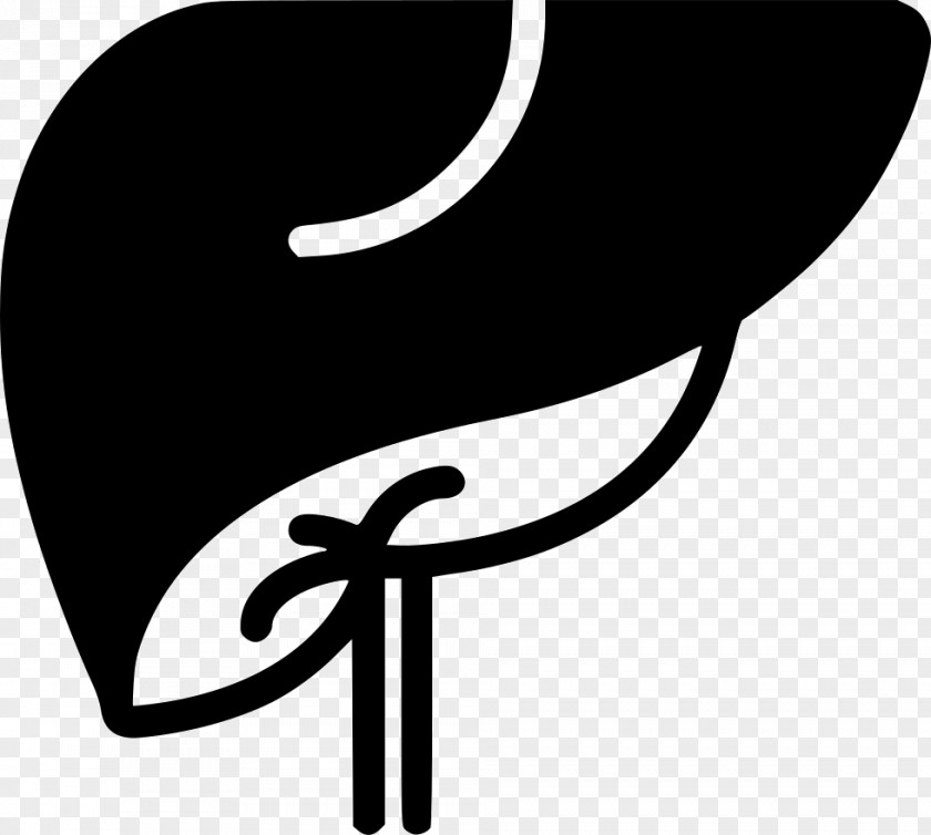 Liver Icon PNG
