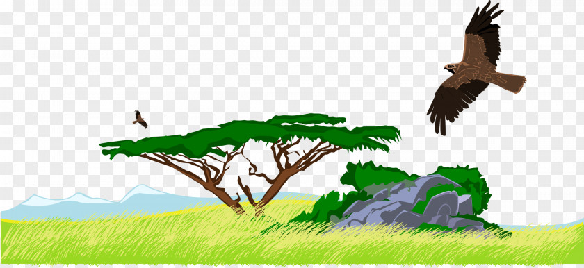 Nature Desktop Wallpaper Savanna Clip Art PNG