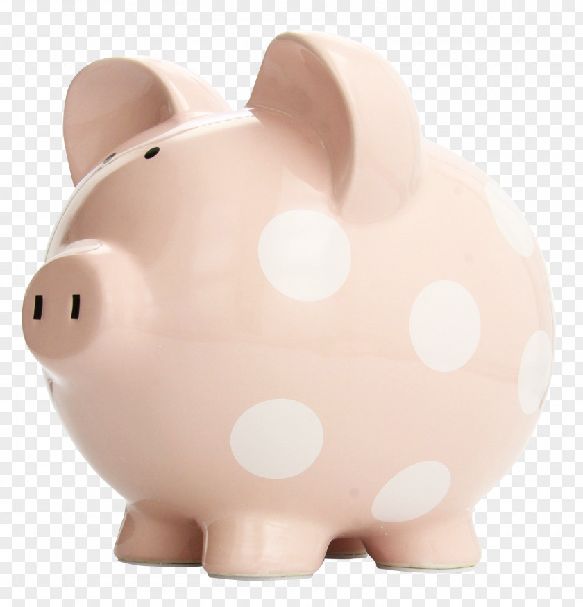 Piggy Bank Domestic Pig Saving Trade PNG