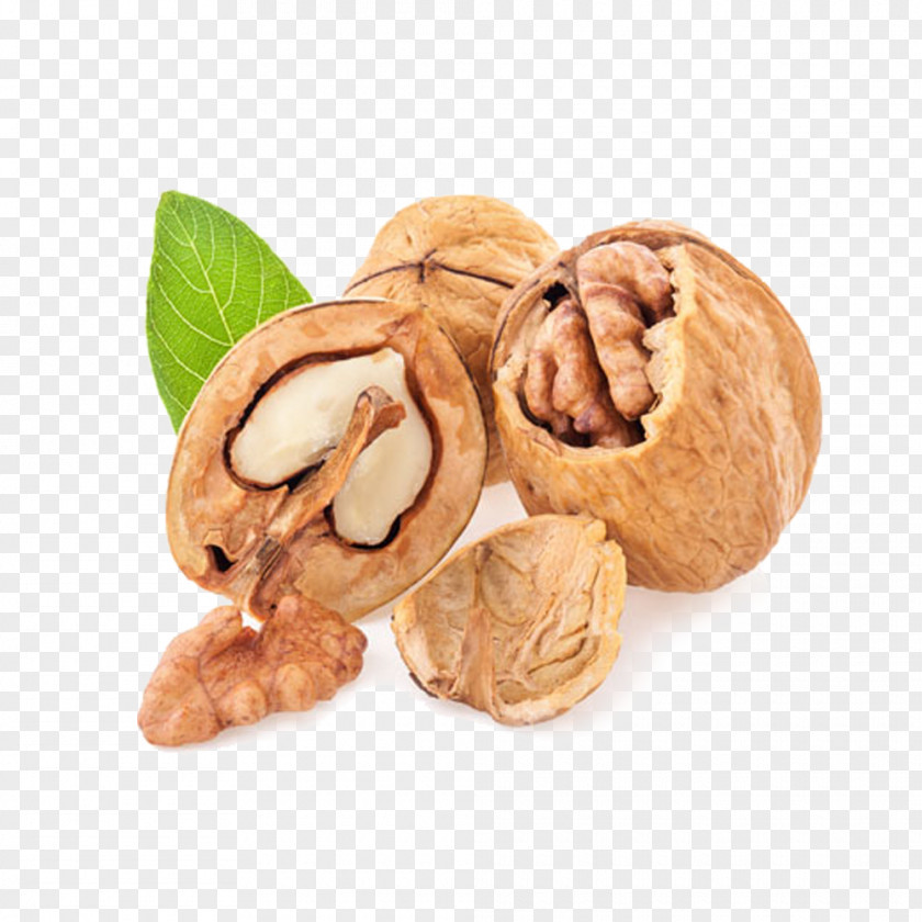 Walnut With Leaves English Nalewka Fruit PNG
