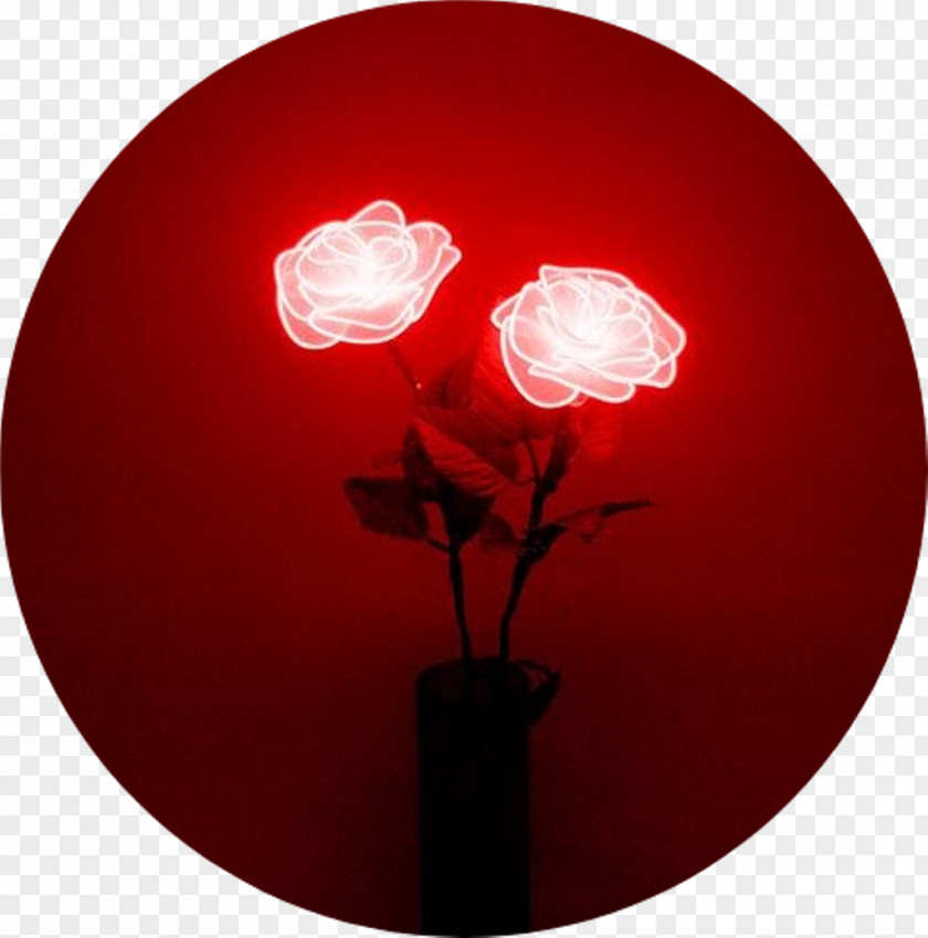 Aesthetic Rose Tumblr Neon Lighting Red Sign PNG