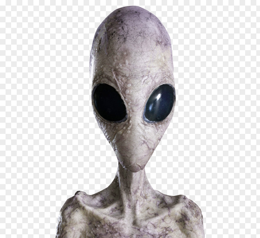 Alien Extraterrestrial Life Display Resolution PNG