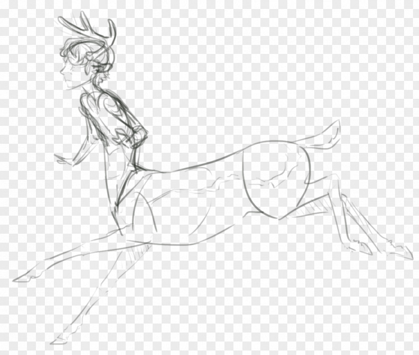 Centaur Drawing Work Of Art Artist PNG