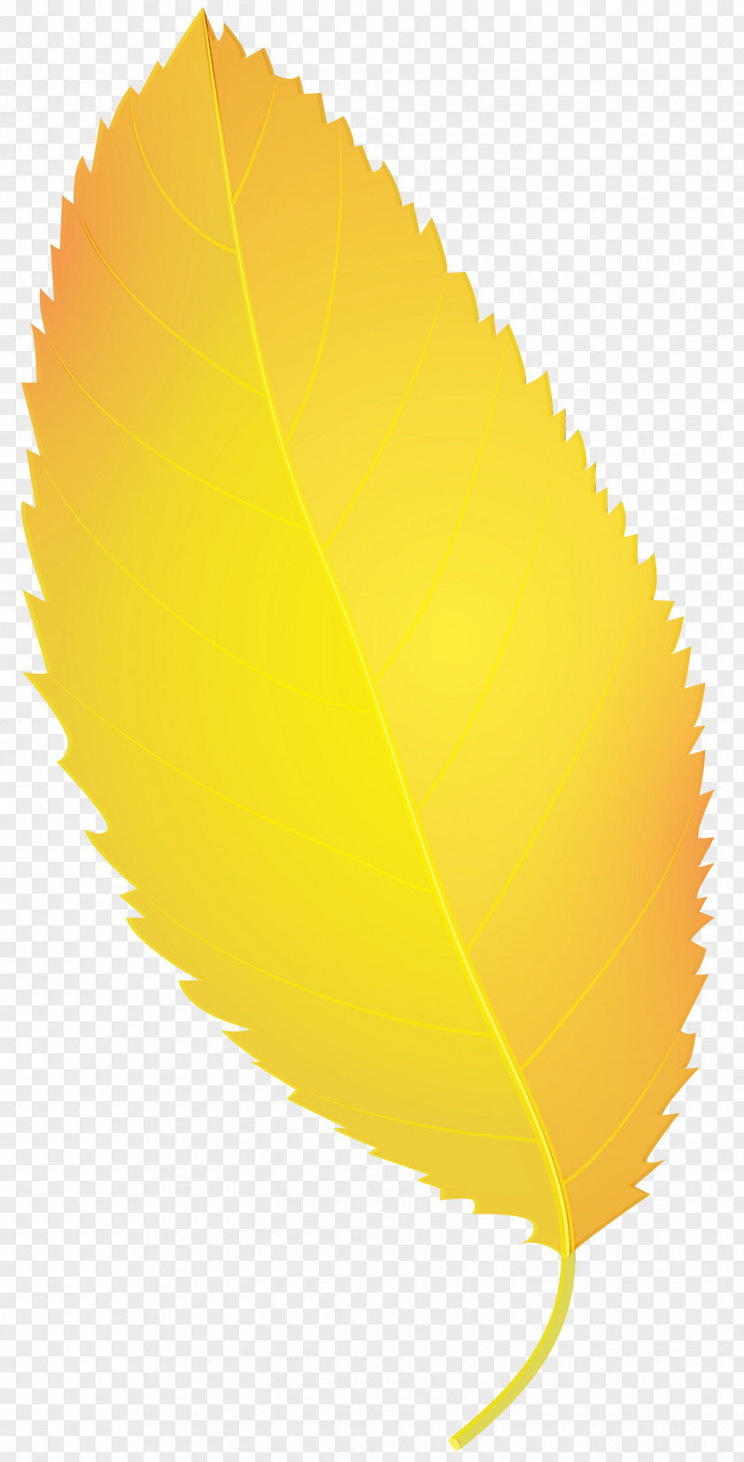 Clip Art Autumn Image PNG