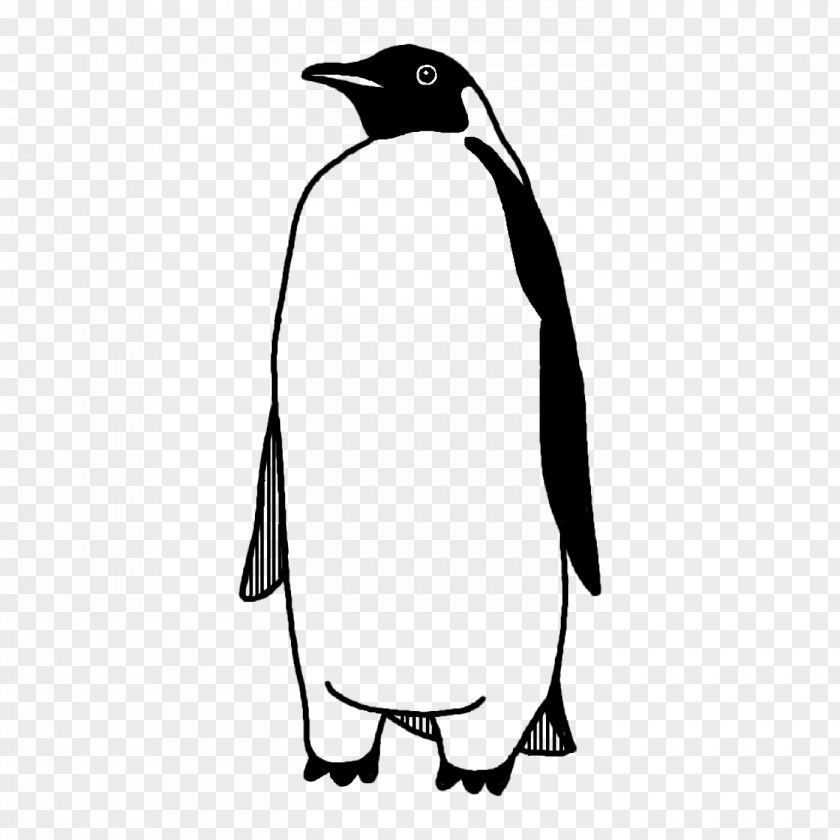 Penguins Line Art Cartoon Character Beak PNG
