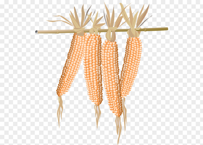 Popcorn Maize Corn On The Cob Food Sweet PNG