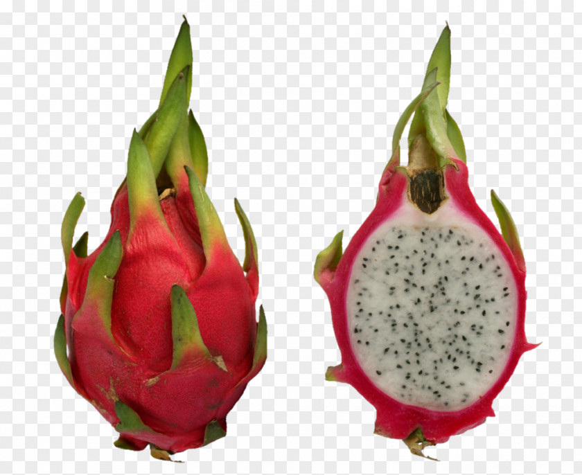 Tropical Fruit Pitaya Hylocereus Undatus Horned Melon Carambola PNG