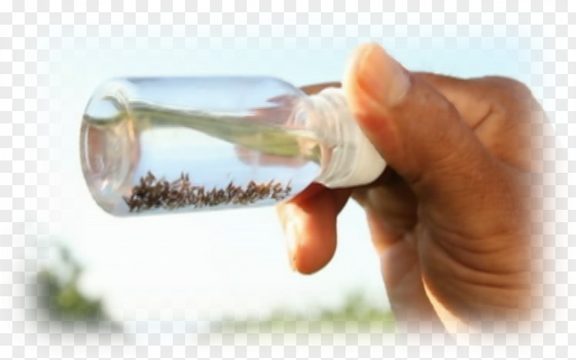 Bottle Water Finger Drink PNG