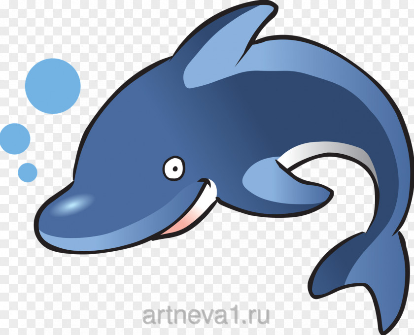 Dolphin Bottlenose Clip Art PNG