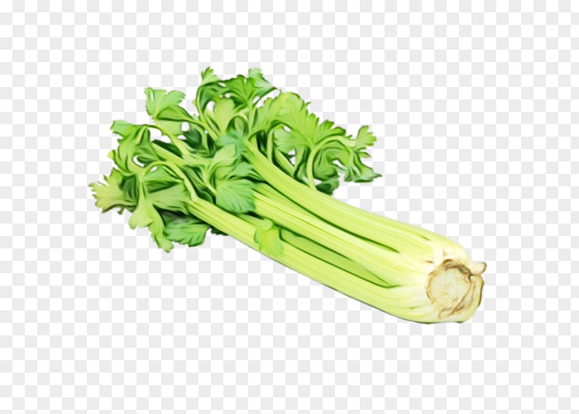 Flower Celtuce Vegetable Food Celery Plant Leaf PNG