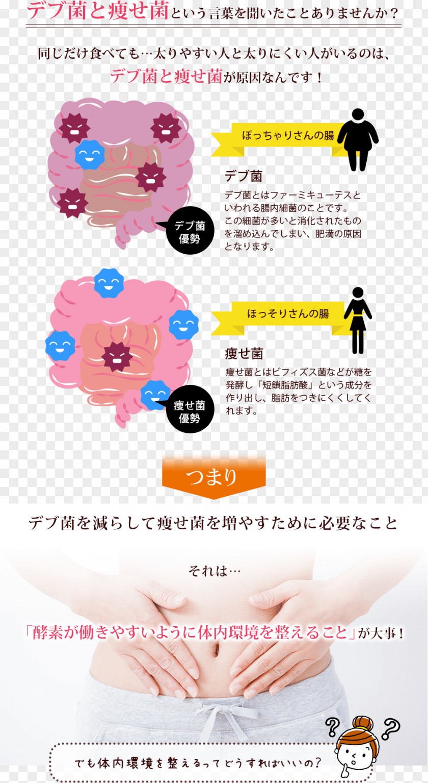 Intestine Aojiru Dietary Supplement Dieting Paper デブ PNG