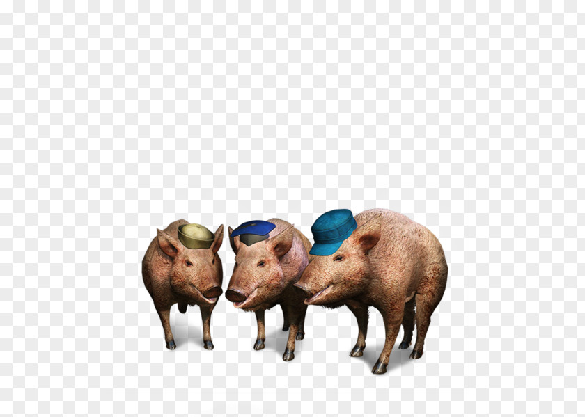 Pig Domestic The Witcher 3: Wild Hunt Three Little Pigs PNG