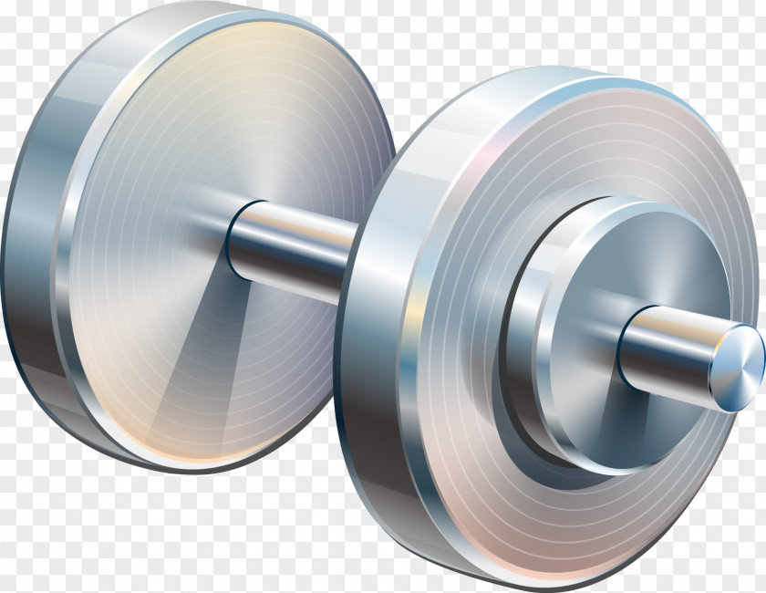 Vector Barbell Dumbbell Euclidean Weight Training Physical Fitness PNG