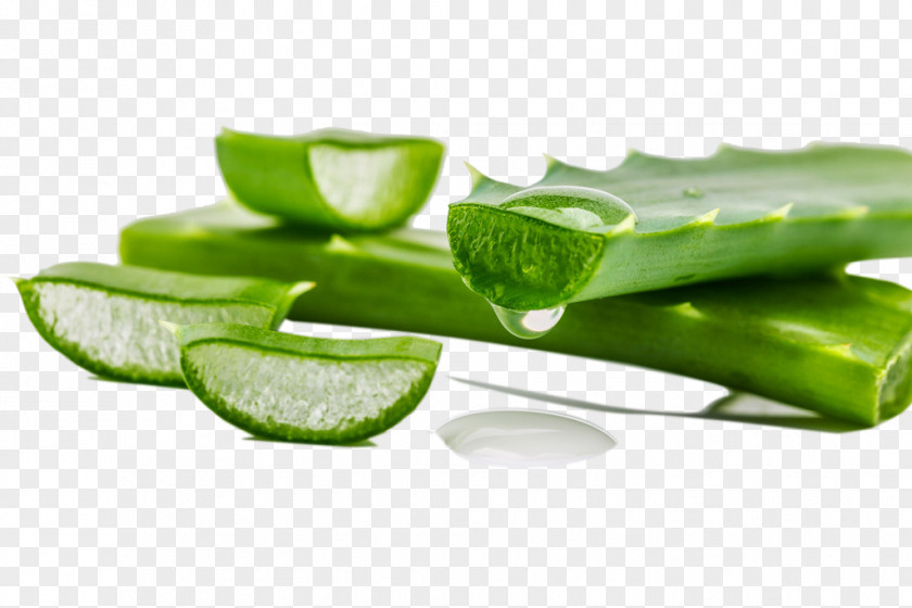 Aloe Vera Lotion Gel Skin Plant PNG