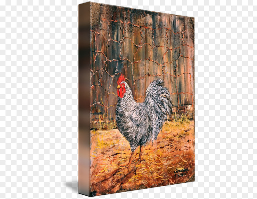 Barn Yard Rooster Fauna Beak Chicken As Food PNG