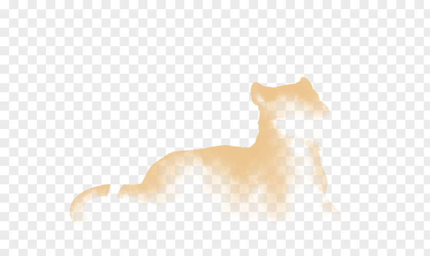 Cat Whiskers Dog Snout Desktop Wallpaper PNG