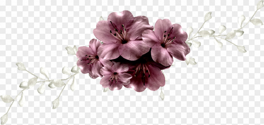 Flower Blossom Plant Floral Design PNG