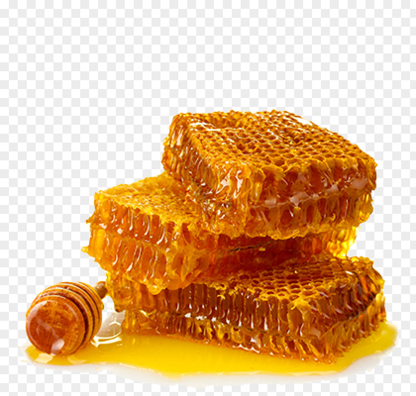 Honey Bee Organic Food PNG