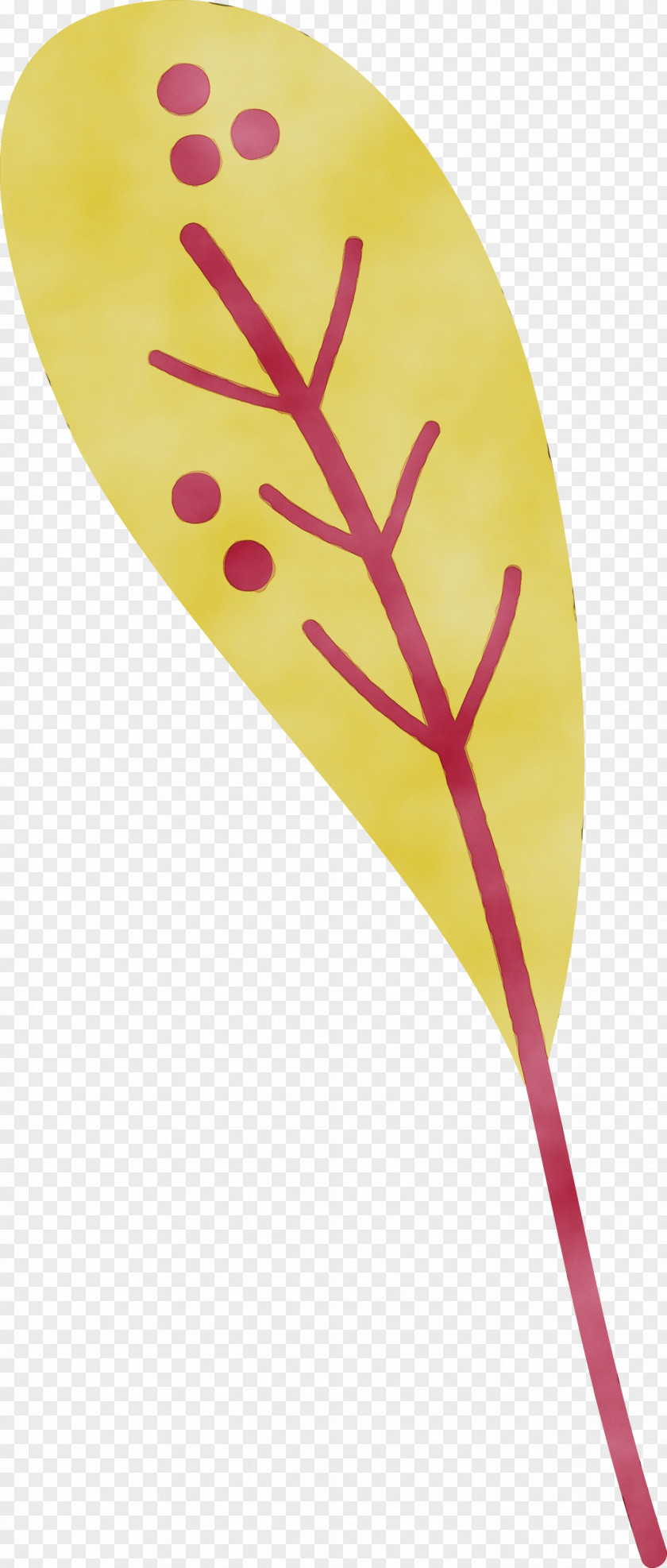 Leaf Yellow Line Biology Plants PNG