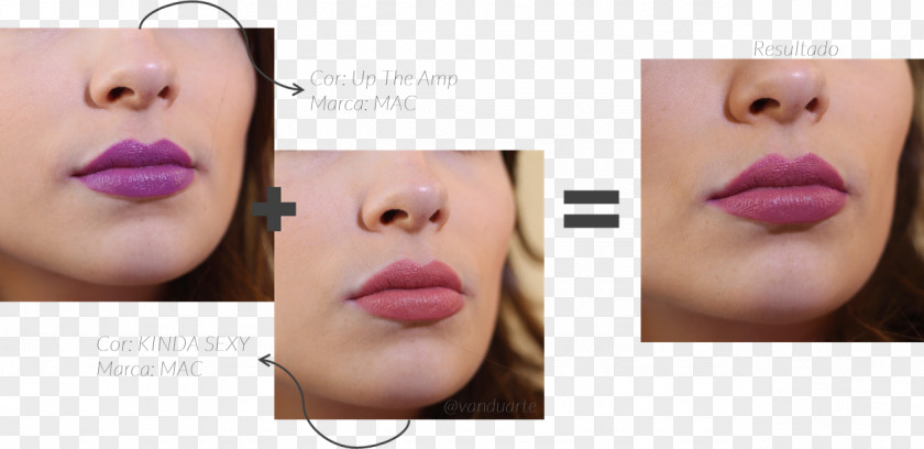 Lipstic Face Cosmetics Lip Eyebrow Cheek PNG
