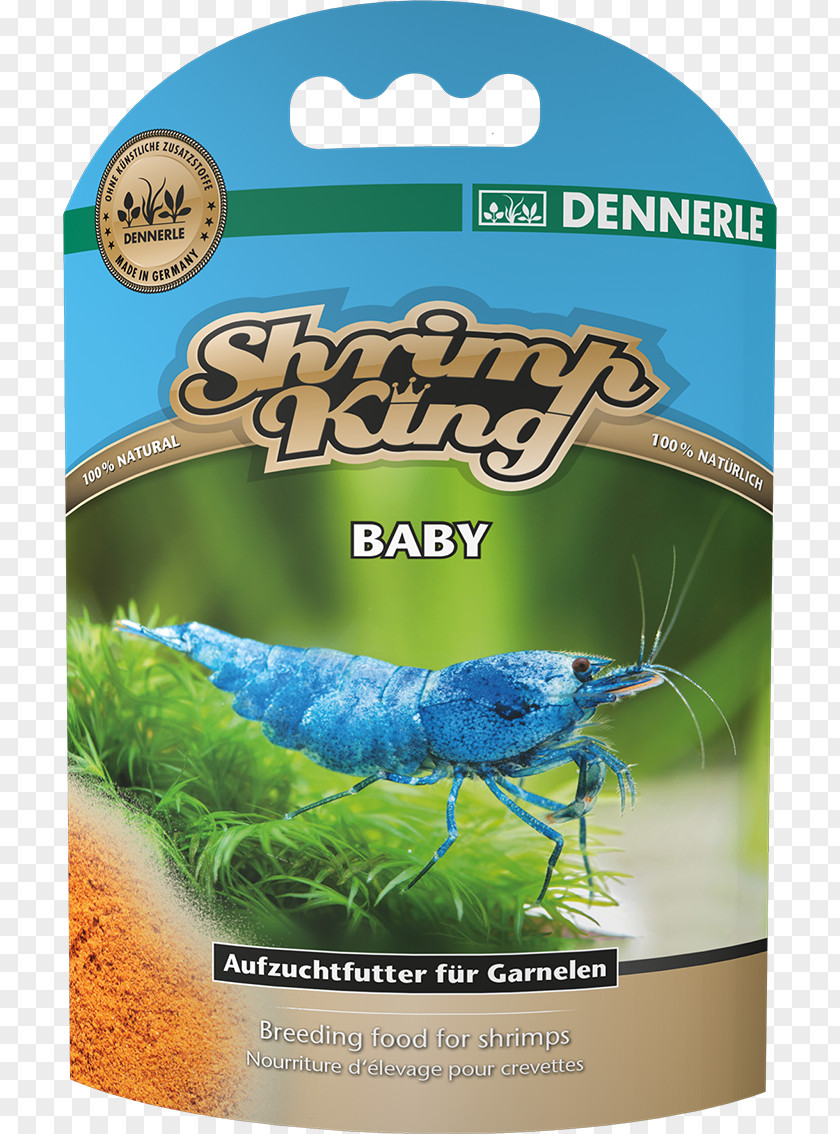 Shrimp Baby Food Nutrition Healthy Diet PNG