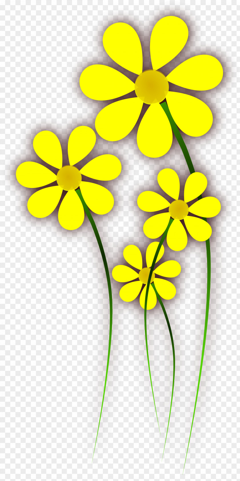 Yellow Flower Plant Petal Pedicel PNG