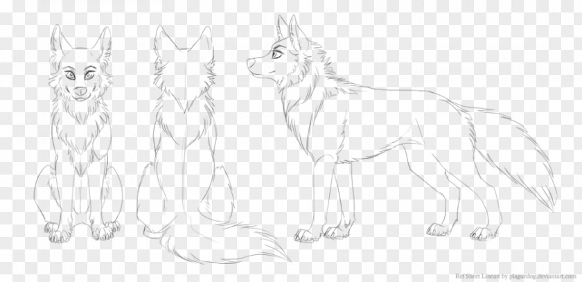 Blank Sheet Gray Wolf Line Art Drawing Sketch PNG