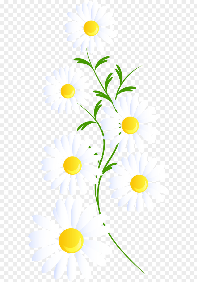 Design Floral Line Plant Stem Clip Art PNG