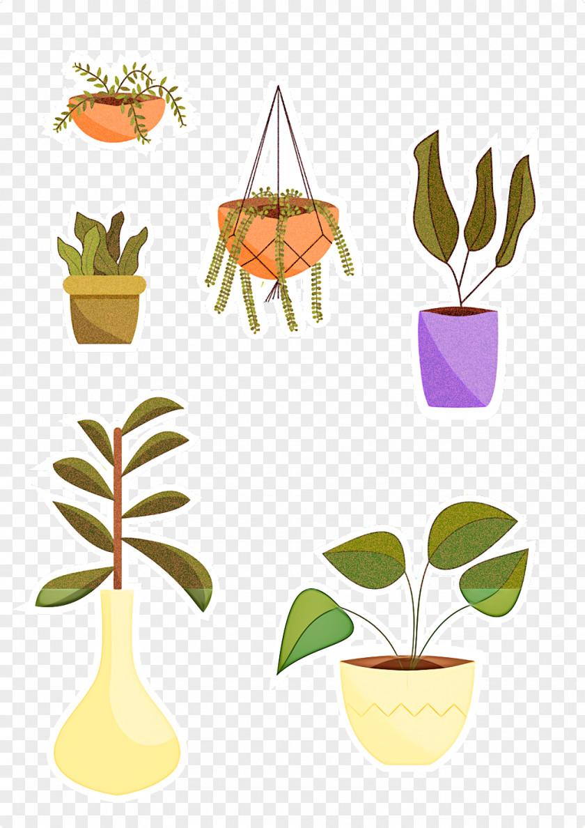 Floral Design PNG