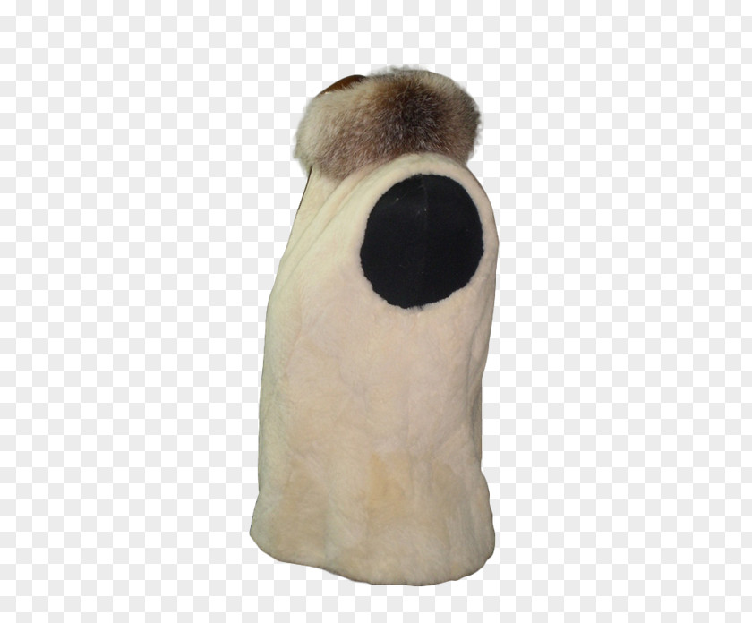 Fox Fur Vest Snout Dog Canidae Mammal PNG