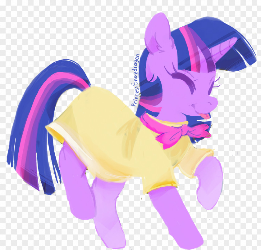 Sparkle Twilight Rainbow Dash Pony Fluttershy Horse PNG