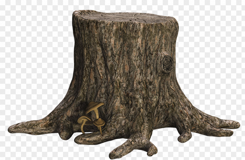 Stump Tree Trunk PNG