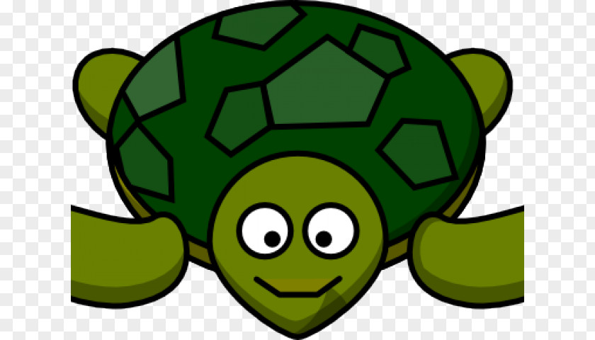 Turtule Frame Green Sea Turtle Clip Art Reptile PNG