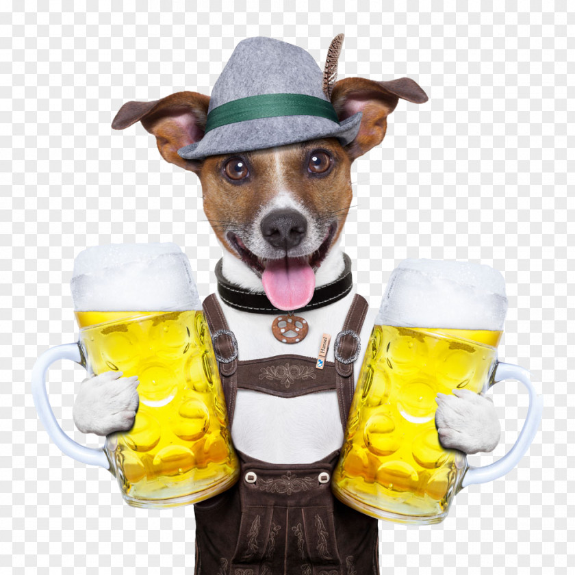 Dog Holding A Beer Oktoberfest German Cuisine Stock Photography PNG