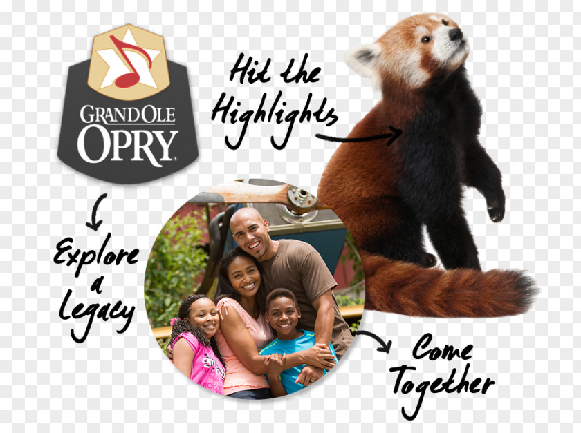 Mammal Grand Ole Opry Human Behavior PNG