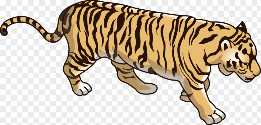 Beautiful Tiger Lion Dog Wildcat Basabizitza PNG