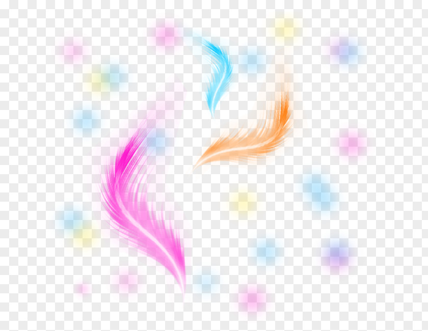 Feather Graphic Design Petal Pattern PNG