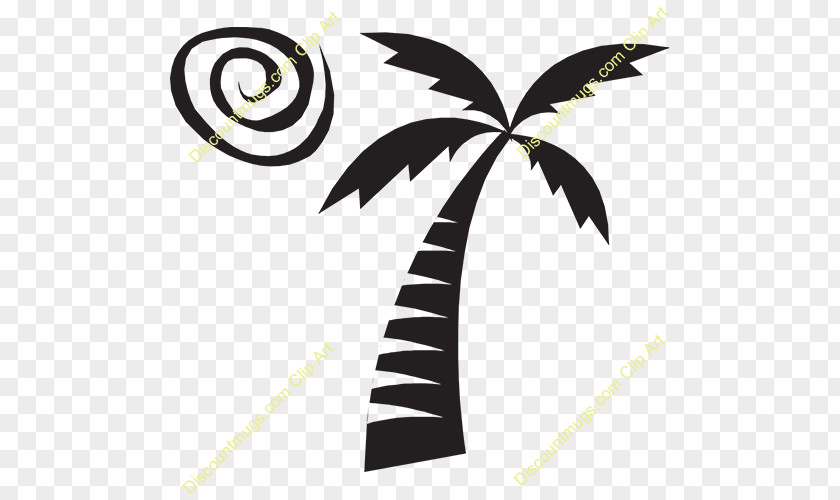 Palm Frond Drawing St. George Island Lighthouse Clip Art PNG