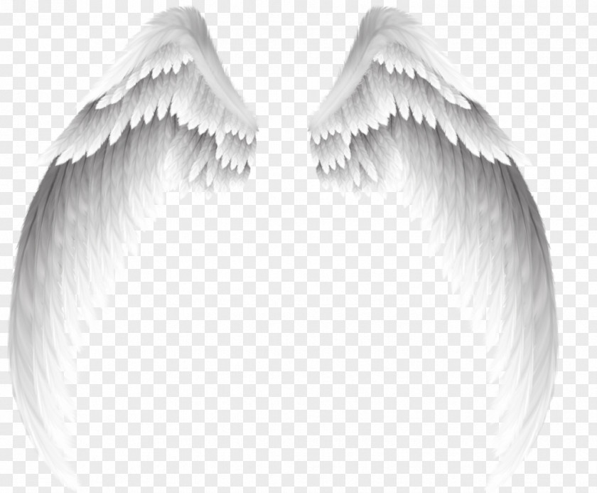 Pretty White Angel Wings Clip Art PNG