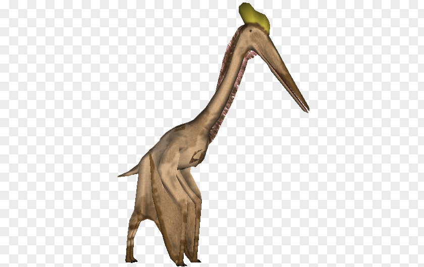 Quetzalcoatlus Zoo Tycoon 2 Dimorphodon Rhamphorhynchus Tapejara PNG