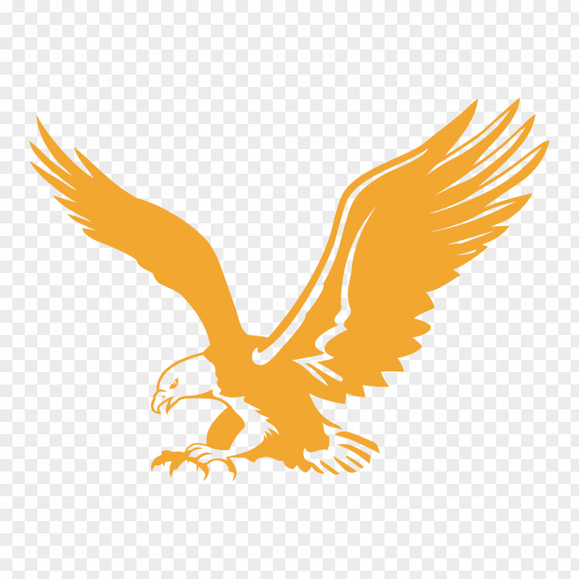 American Flyer Bald Eagle Hotel Company Business Government PNG