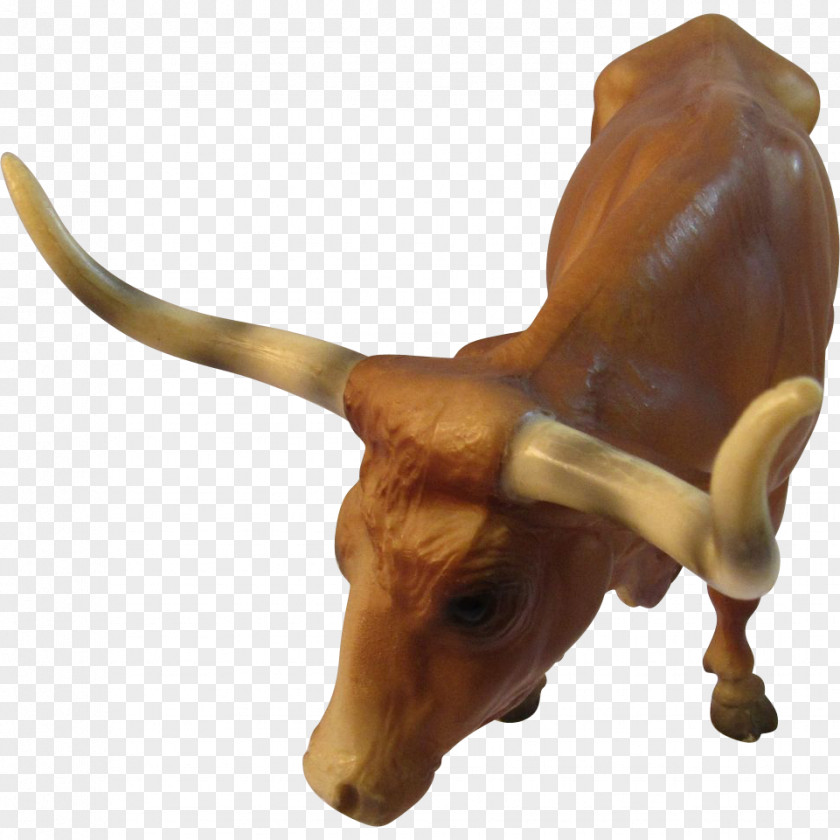 Bull Texas Longhorn Pig's Ear English Ox PNG