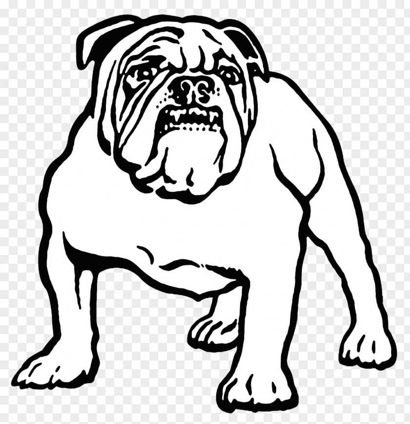 Bulldog Canterbury-Bankstown Bulldogs National Rugby League City Of Bankstown PNG