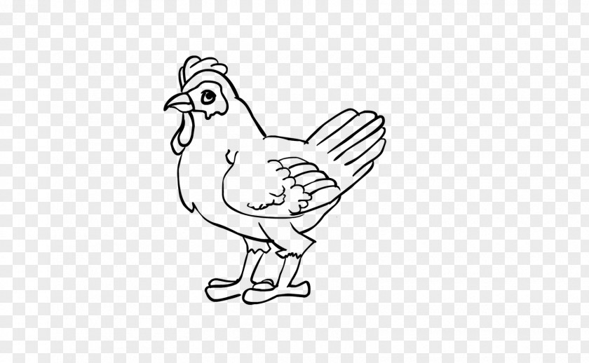 Chicken Rooster Line Art Drawing Clip PNG
