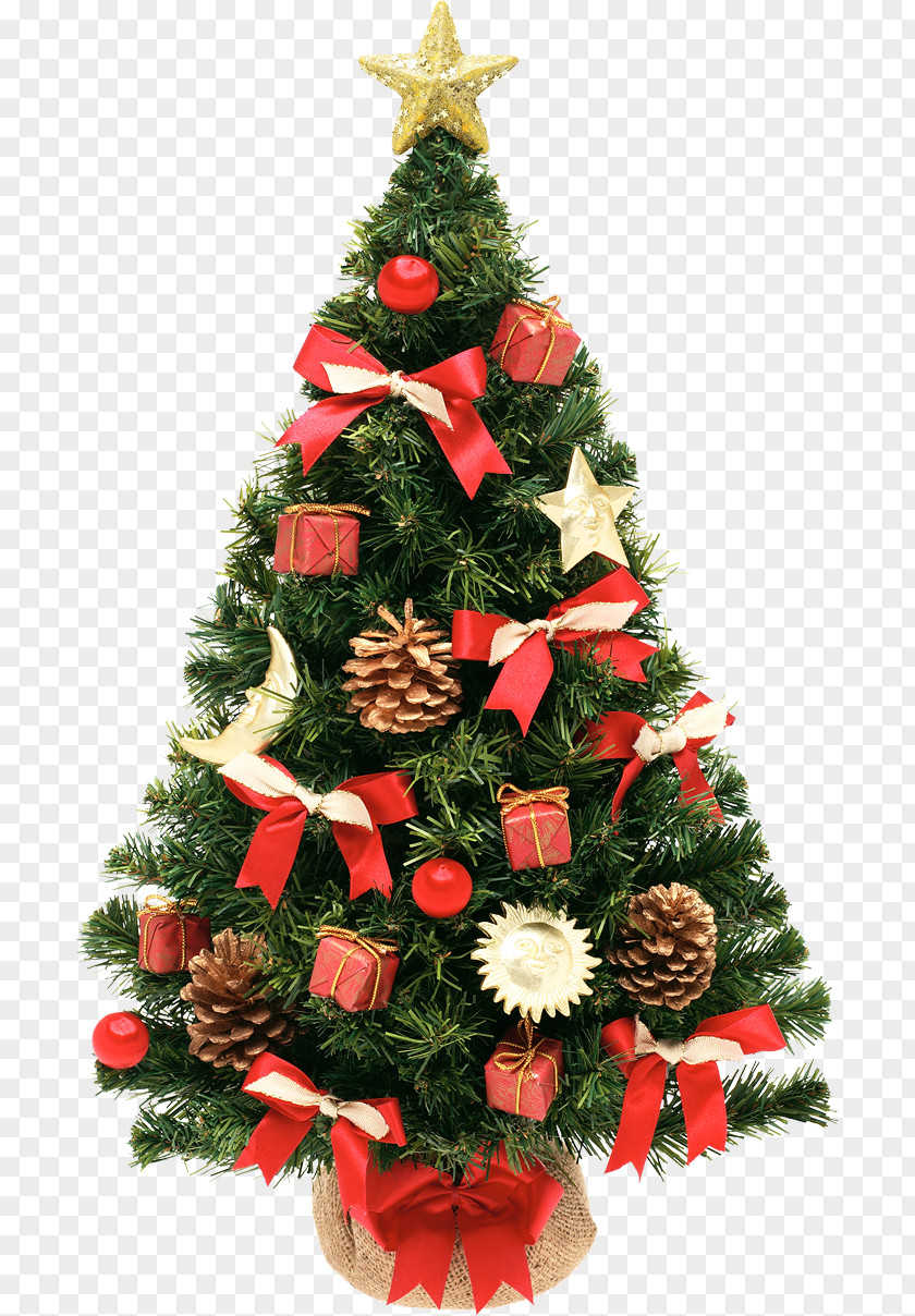 Christmas Tree New Year Artificial Ornament PNG