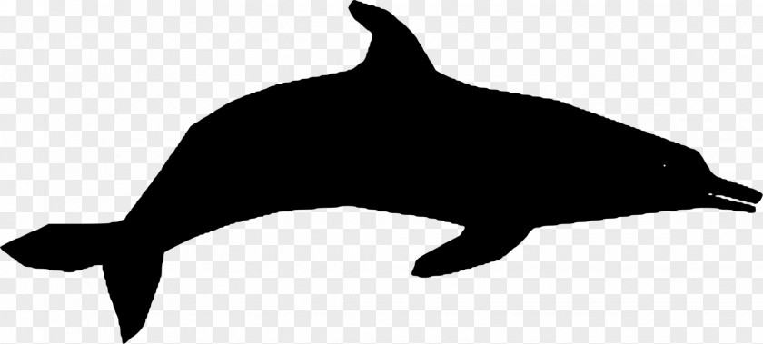 Dolphin Clipart Silhouette Common Bottlenose Porpoise Clip Art Cetaceans PNG