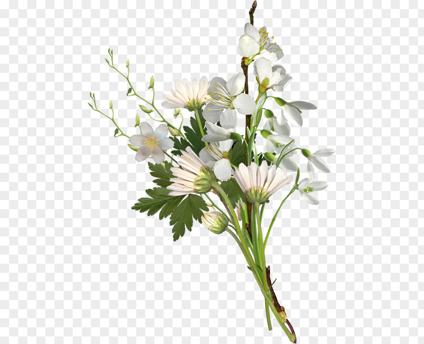 Flower Bouquet Cut Flowers Chrysanthemum Clip Art PNG