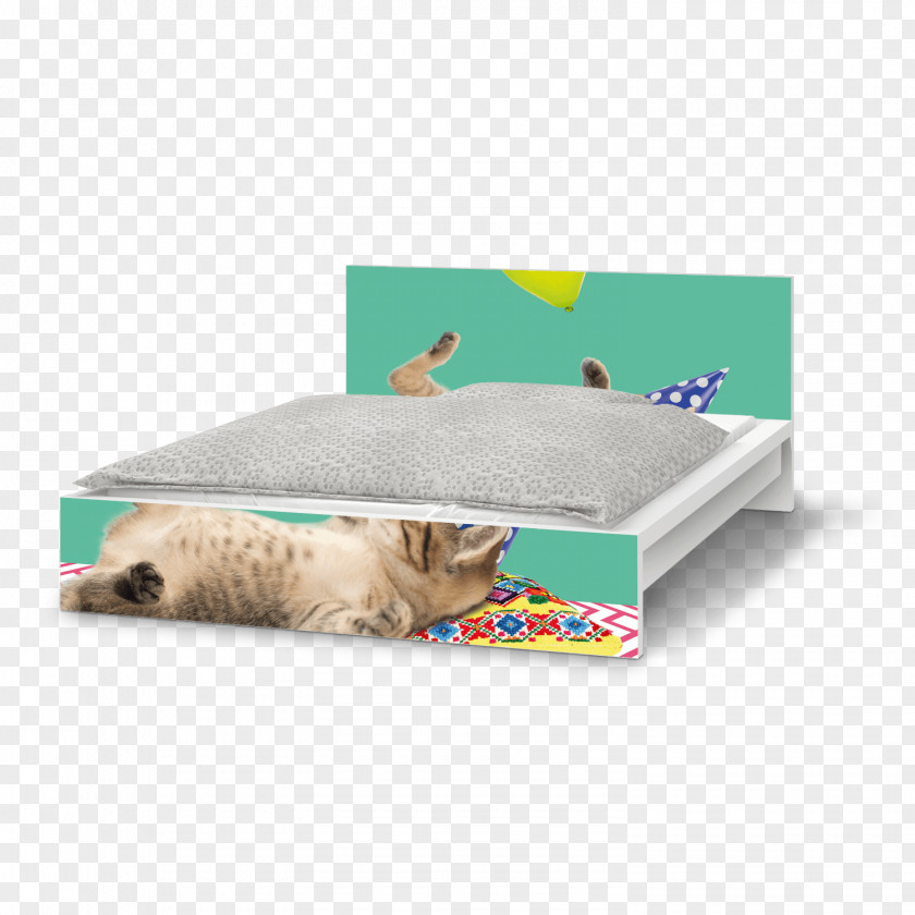 Katze Pantone Matching System Blue Material Rectangle PNG