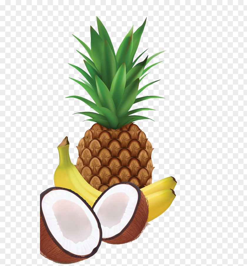 Pineapple Banana Juice Milkshake Coconut PNG